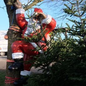 Weihnachtsmannfigur an einem Baum neben Nadelbaum
