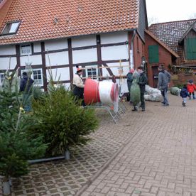 Weihnachtsbaumverkauf bei Brand's Weihnachtsbäume in Rinteln